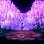 Tras batir récords en Japón, esta película recauda 10 millones de dólares en tan solo una noche en Estados Unidos