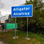 Cientos de detenidos de cocodrilo Alcatraz dejan la red después de dejar el sitio