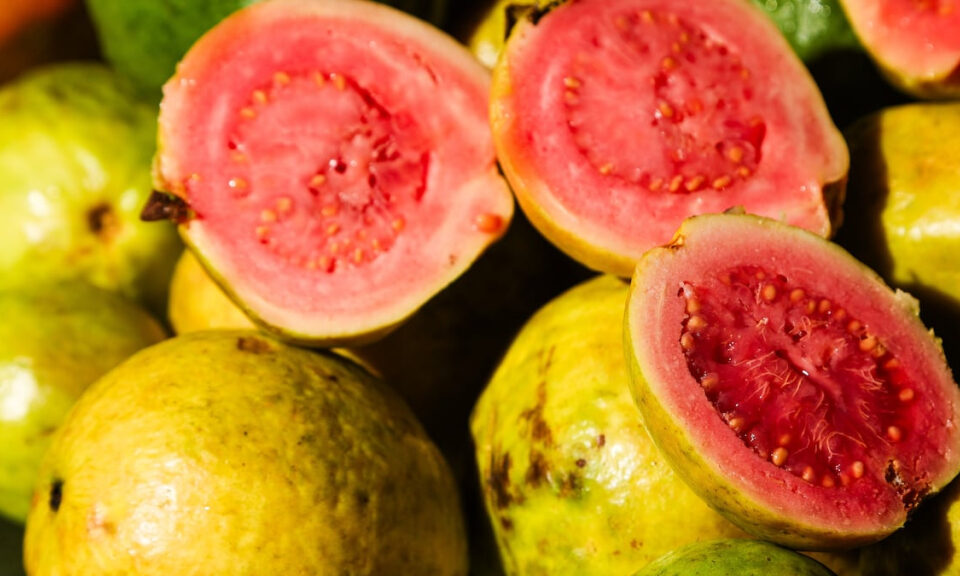 Guavas condujo a la creación de Ybor City. Entonces, ¿a dónde fueron?