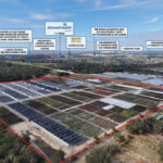 APOPKA Greenlights Desarrollo residencial para la propiedad de DeWar Nurseries