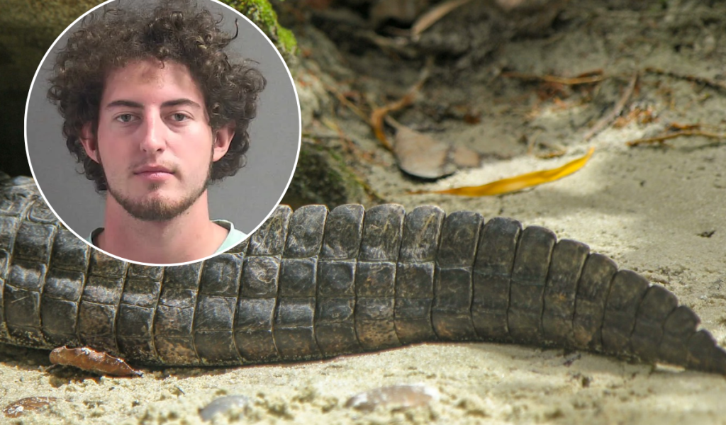 Hombre de Florida cazó 13 caimanes y se grabó en Snapchat: ahora enfrenta décadas de prisión