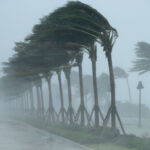 Los costos de los seguros de hogar en Florida aumentaron un 1,5 % en lo que va de 2025. ¿Bajarán algún día?