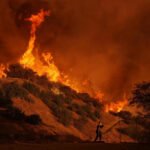 Hombre de Florida Central se declara inocente de provocar el mortal incendio Palisades en Los Ángeles