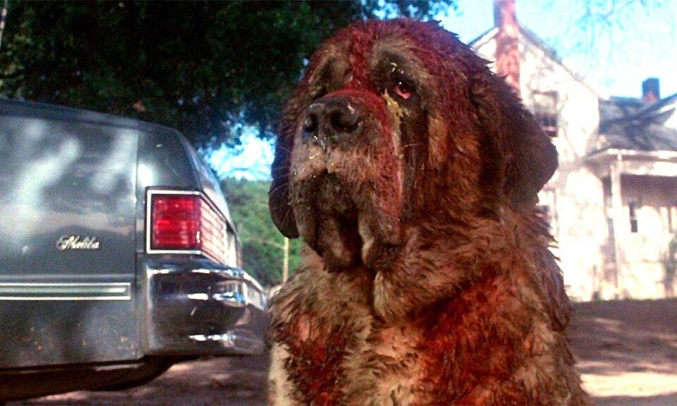 Hace 42 años Stephen King agradeció que cambiaran el final de una de sus obras: «Nunca había recibido tantos mensajes de odio»