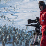 El equipo de este documental se vio obligado a romper la «regla cardinal de los documentales sobre la naturaleza»