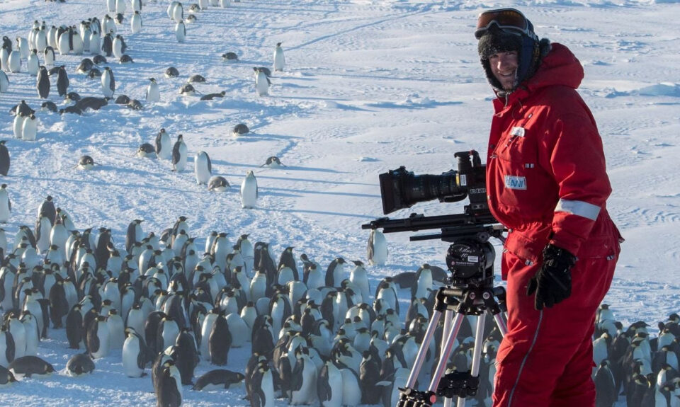 El equipo de este documental se vio obligado a romper la «regla cardinal de los documentales sobre la naturaleza»
