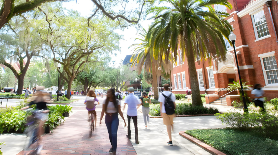 Dos universidades de Florida encabezan el ranking de la mejores universidades del país, según City Journal