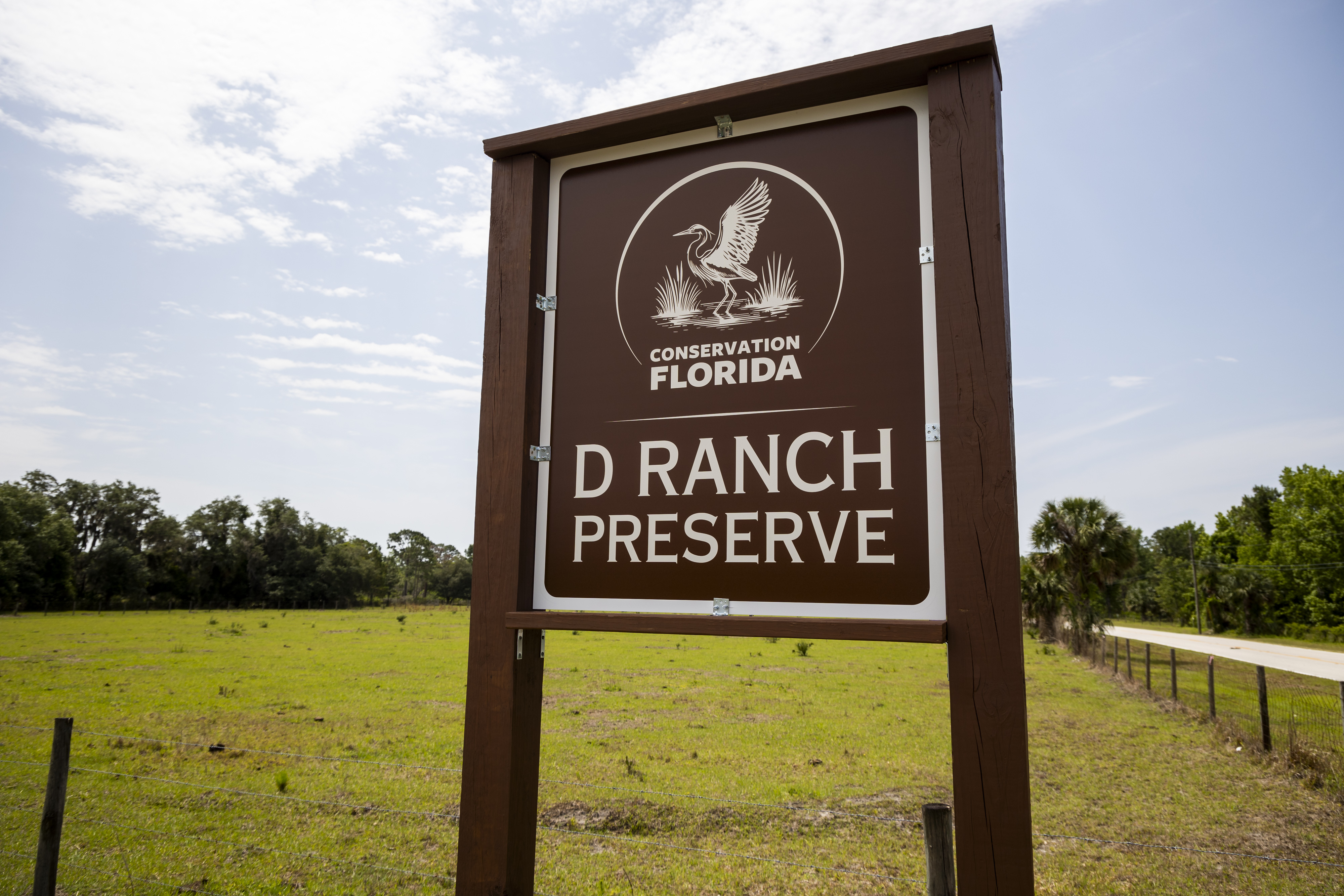 D Ranch Preserve en Osteen presenta 476 acres de tierra protegida, incluido el hábitat de matorrales y los humedales. La tierra está abierta para caminar, ver la vida silvestre y la fotografía de la naturaleza. (Patrick Connolly/Orlando Sentinel)