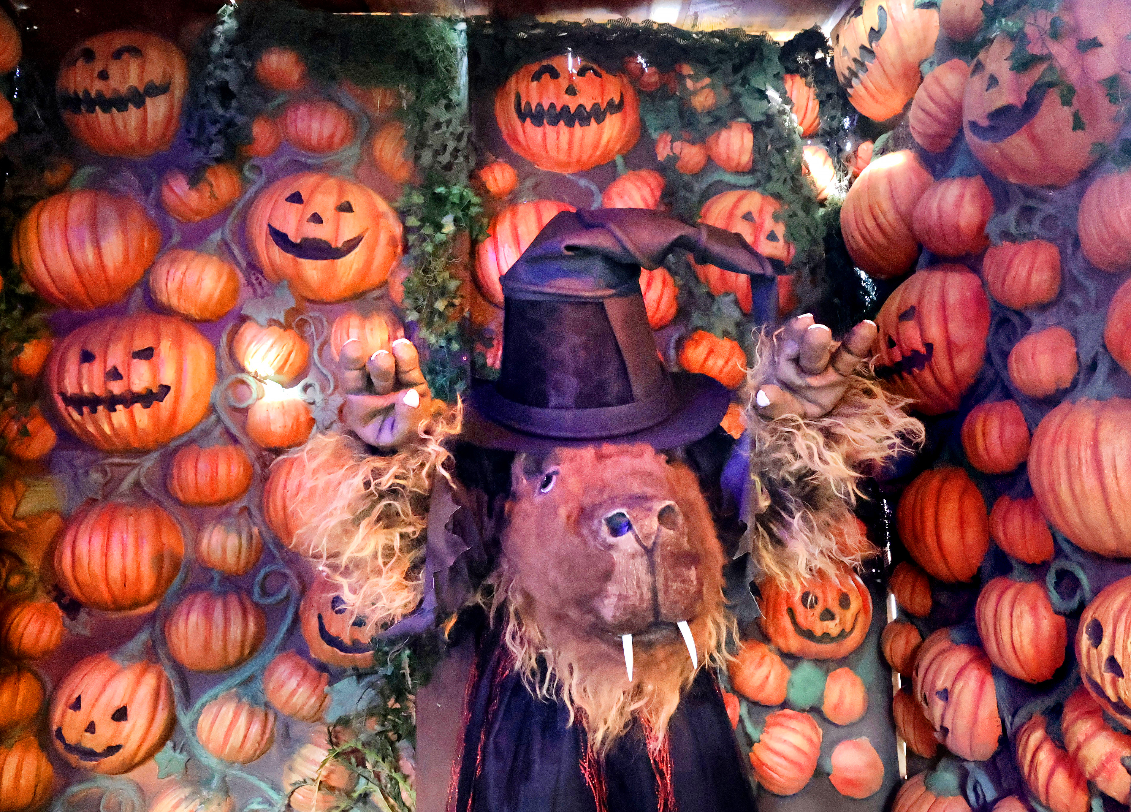 Un personaje de carpincho disfrazado saluda a los jóvenes invitados en la séptima edición anual de Gators, Ghosts and Goblins de Gatorland durante una vista previa, el miércoles 8 de octubre de 2025. El evento familiar, divertido y aterrador se llevará a cabo del 11 al 26 de octubre y presenta escenas espeluznantes, personajes escalofriantes, un teatro embrujado, actividades infantiles de Halloween y encuentros con animales. (Joe Burbank/Orlando Sentinel)