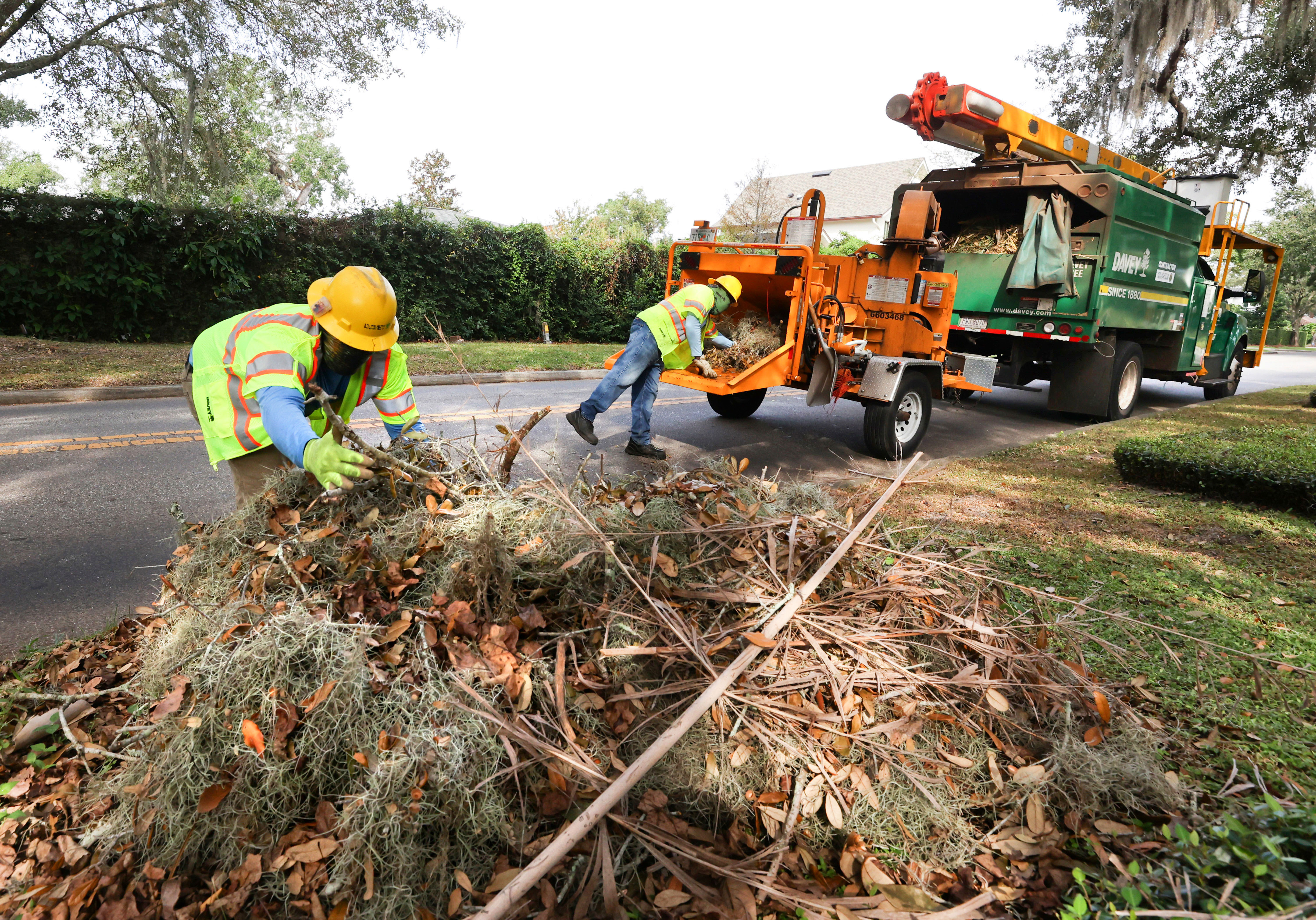 Remoción de escombros del huracán Milton Los trabajadores contratados por la ciudad de Winter Park recogen escombros en Temple Drive, el lunes 28 de octubre de 2024, mientras Florida Central continúa recuperándose del impacto del huracán Milton. (Joe Burbank/Orlando Sentinel)
