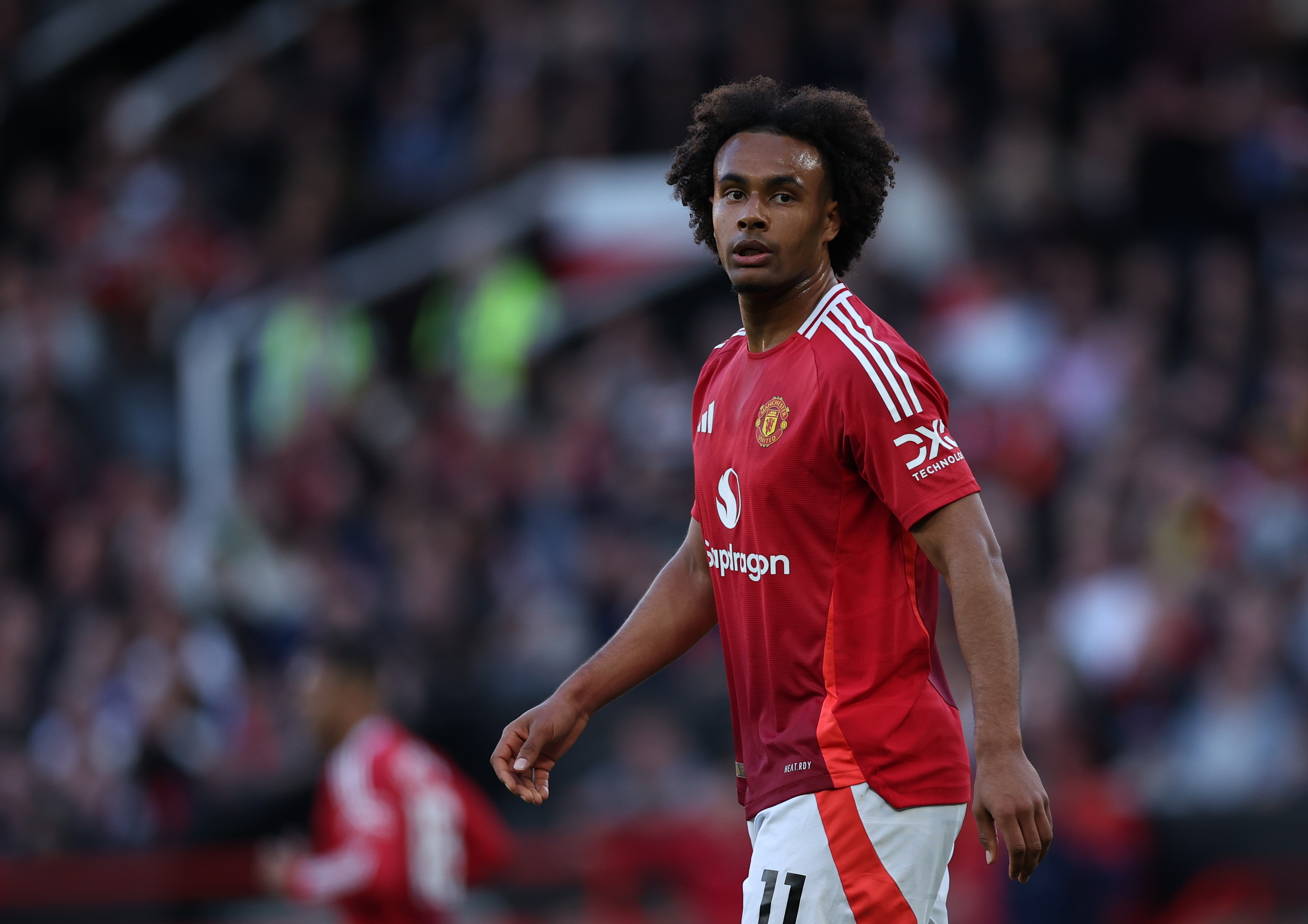 MANCHESTER (United Kingdom), 06/04/2025.- Joshua Zirkzee of Manchester United looks on during the English Premier League soccer match between Manchester United and Manchester City, in Manchester, Britain, 06 April 2025. (Reino Unido) EFE/EPA/ADAM VAUGHAN EDITORIAL USE ONLY. No use with unauthorized audio, video, data, fixture lists, club/league logos, 'live' services or NFTs. Online in-match use limited to 120 images, no video emulation. No use in betting, games or single club/league/player publications.