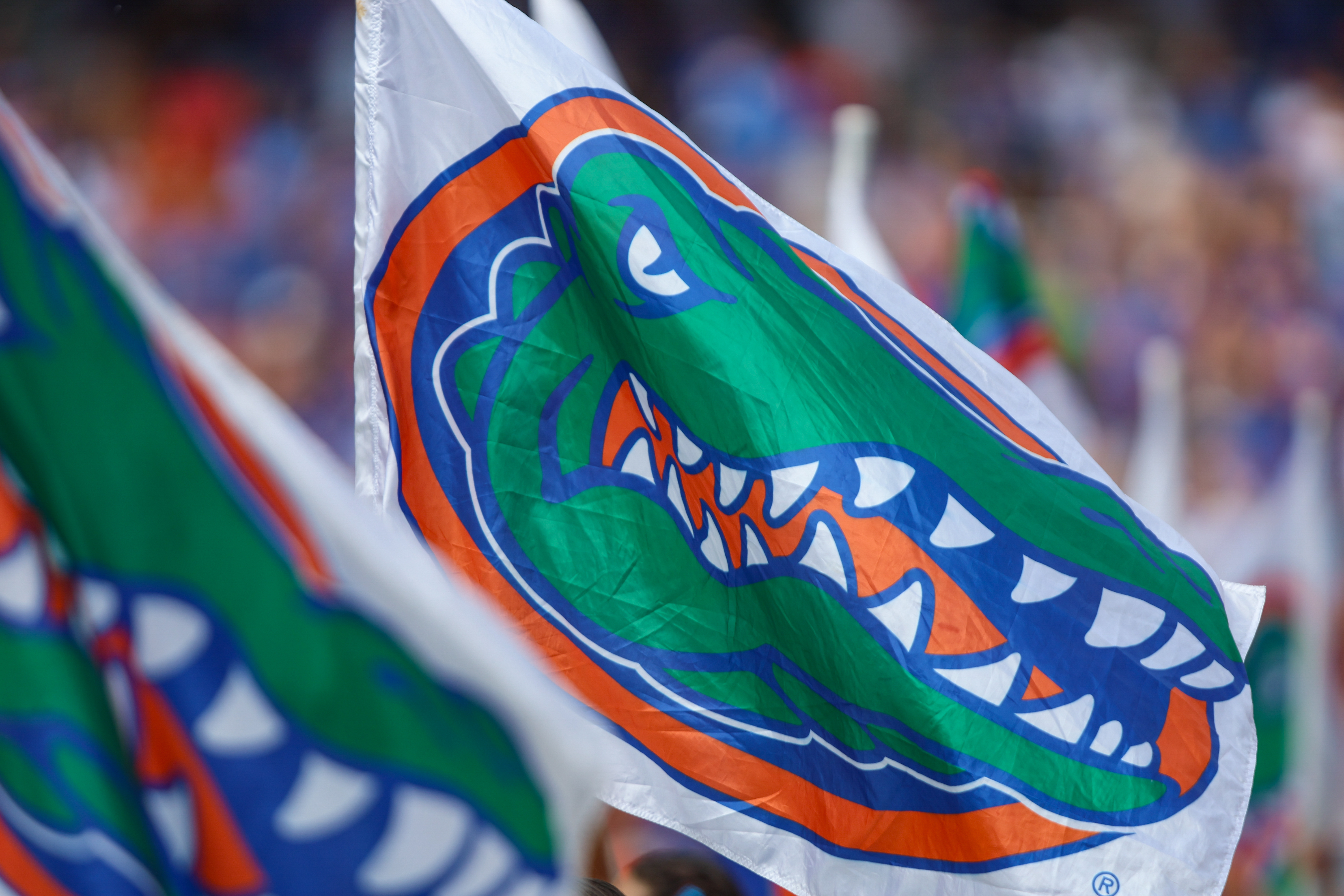 Una bandera de los Florida Gators ondea antes de un partido de fútbol de la NCAA entre Florida y Texas el 4 de octubre de 2025 en Gainesville. Florida derrotó a Texas 29-21. (Gary McCullough/Associated Press)