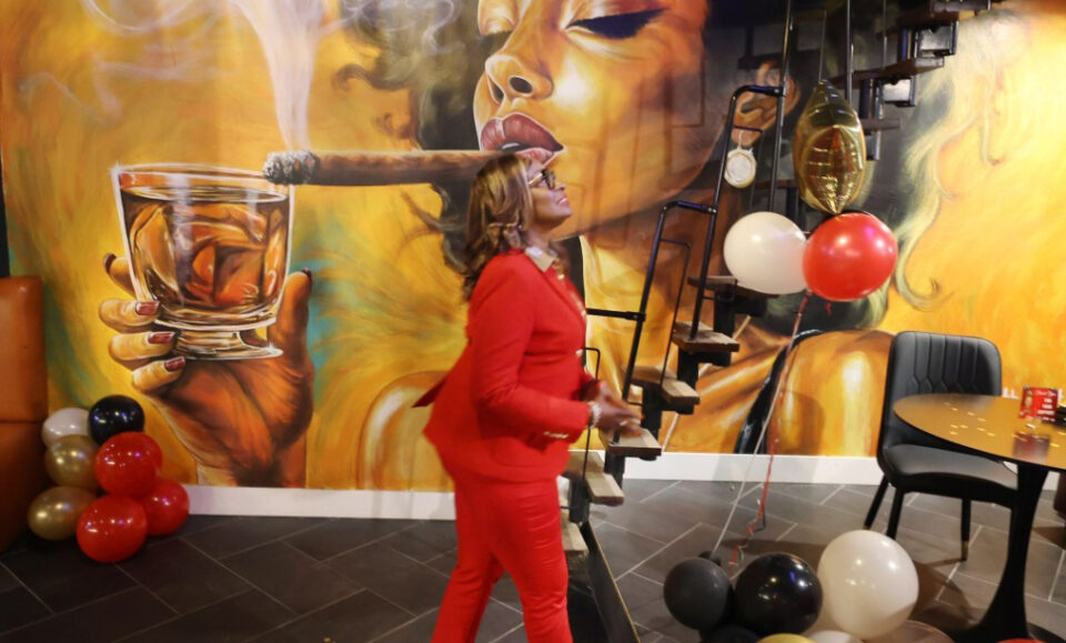 Los cargos por delitos graves son ‘una colina difícil de escalar’ mientras el regreso político de Regina Hill se queda corto