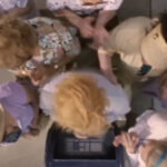 Nadie quería participar en esta película, pero quien aceptó el papel llevó su interpretación a un lugar donde pocas veces había llegado