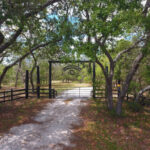 El condado de Seminole busca tierras naturales para su conservación, incluido el rancho Hi-Oaks, que alguna vez estuvo en peligro