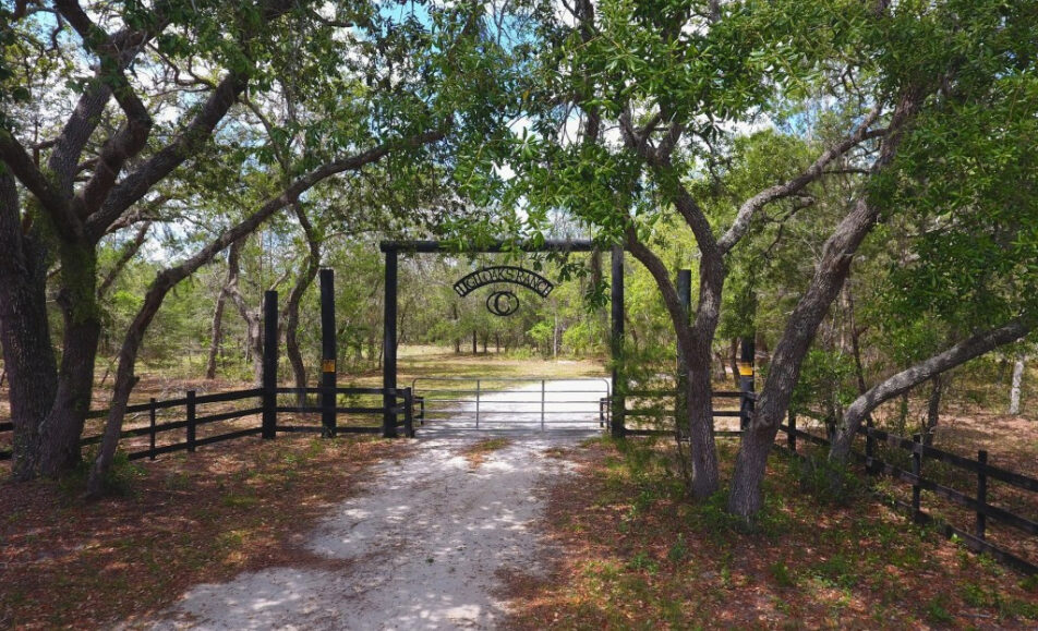 El condado de Seminole busca tierras naturales para su conservación, incluido el rancho Hi-Oaks, que alguna vez estuvo en peligro