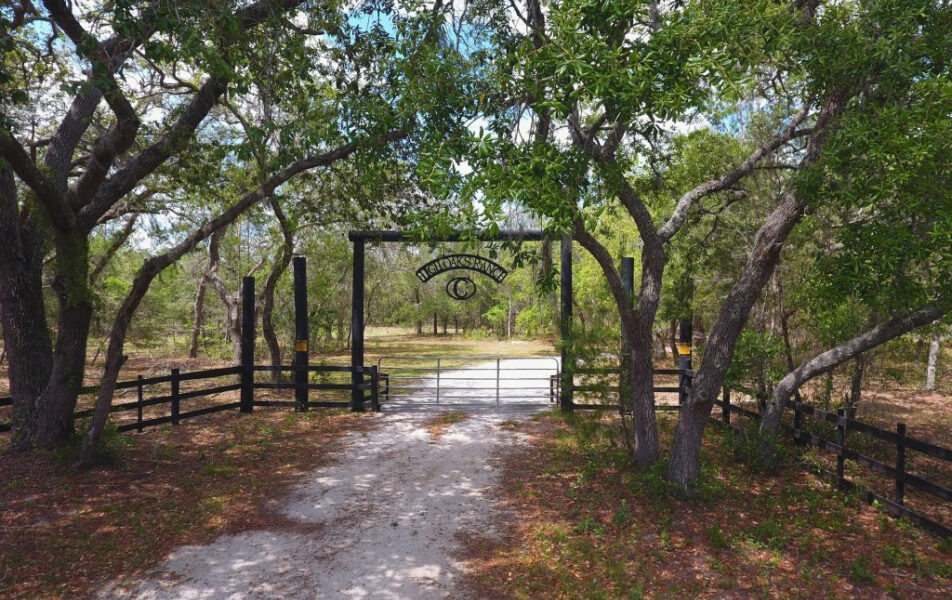 El condado de Seminole busca tierras naturales para su conservación, incluido el rancho Hi-Oaks, que alguna vez estuvo en peligro