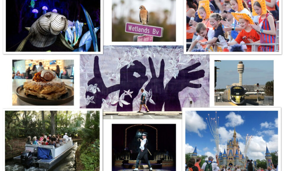 Maxwell: 101 cosas que te encantarán de Florida Central (2025)