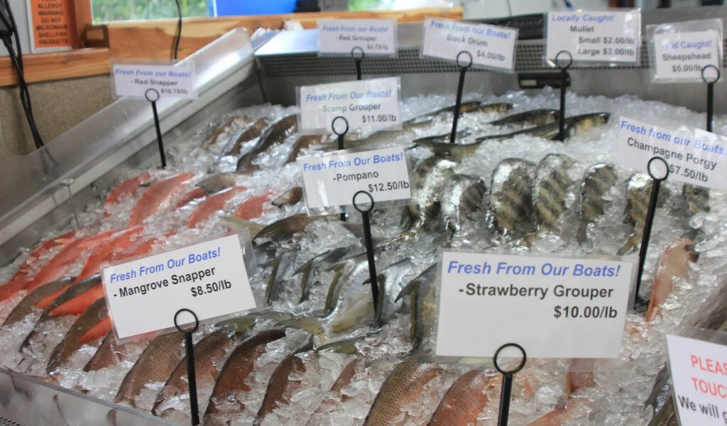 Pelea en jaulas: la tensión que se avecina sobre la acuicultura en alta mar en el Golfo