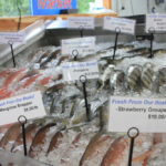 Pelea en jaulas: la tensión que se avecina sobre la acuicultura en alta mar en el Golfo