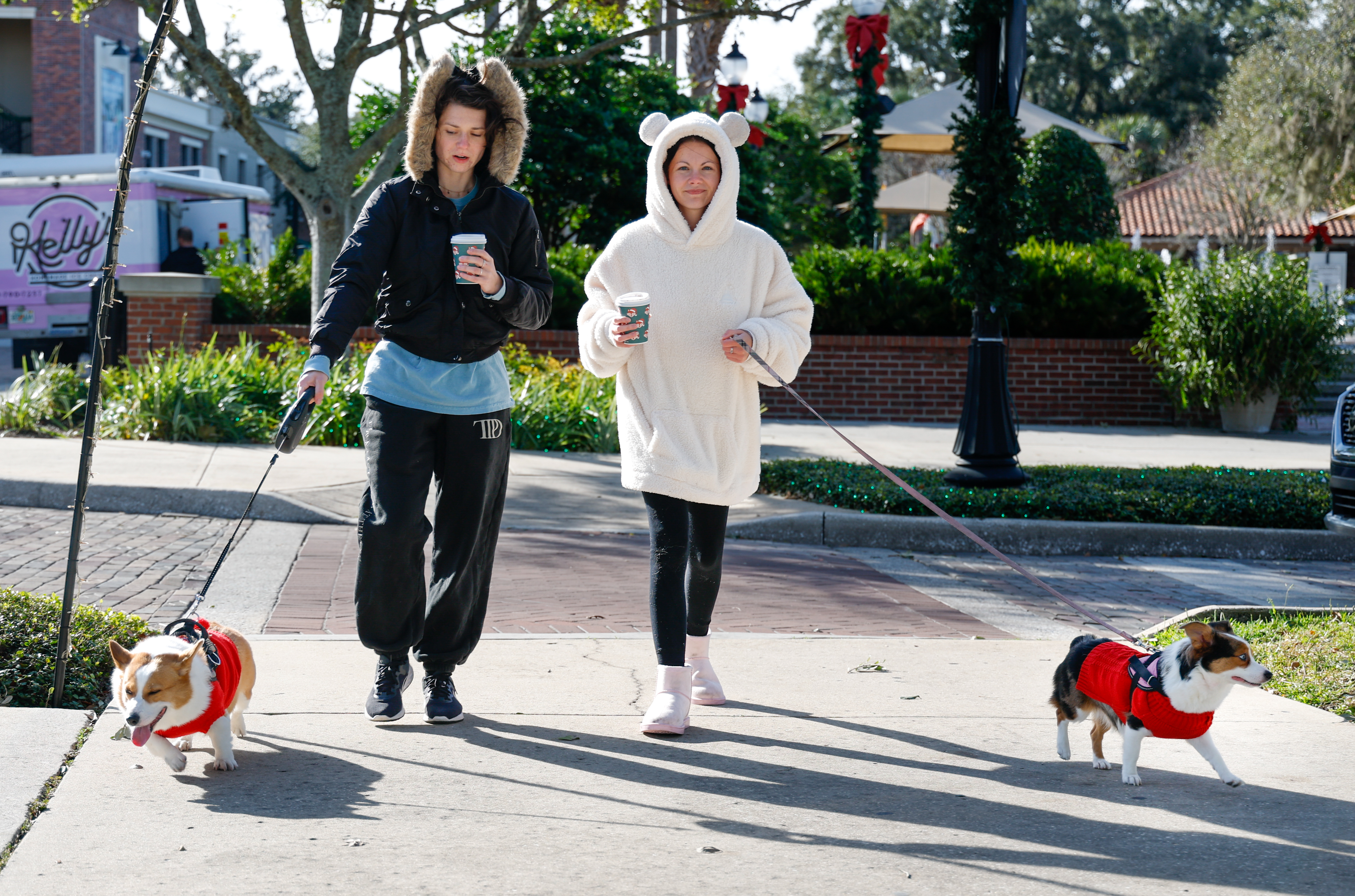 Un frente que trae aire ártico a Florida Central el martes 11 de noviembre de 2025 crea una caminata fría por la mañana que requiere un poco de abrigo para las personas y los perros en Winter Garden el martes. (Papa rico/Orlando Sentinel)