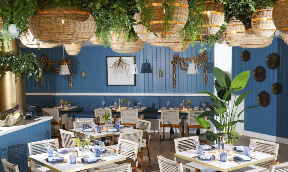 SkyBeach Resort en San Petersburgo abrirá un nuevo restaurante en enero