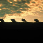 El estudio le pidió cambios a esta mítica película de fantasía y no se fio de que la fueran a estrenar: acabó pagando el estreno de su propio bolsillo