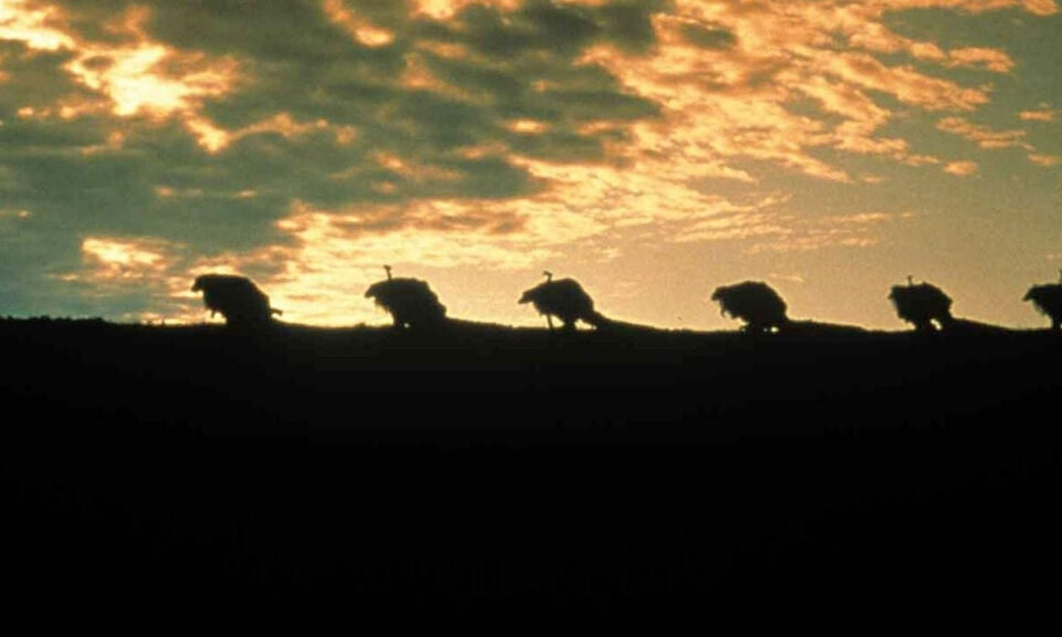 El estudio le pidió cambios a esta mítica película de fantasía y no se fio de que la fueran a estrenar: acabó pagando el estreno de su propio bolsillo