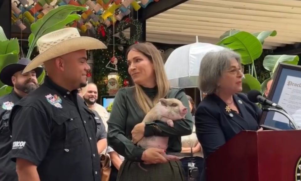 Alcaldesa de Miami-Dade indulta a un cerdito y evita que se convierta en cena navideña