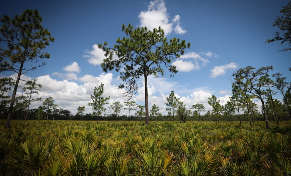 Avanza la controvertida autopista de peaje de 2.500 millones de dólares en Poinciana