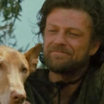 Esta escena de ‘Troya’ solo aparece en su versión extendida, pero si sabes algo de la Grecia clásica te emocionará