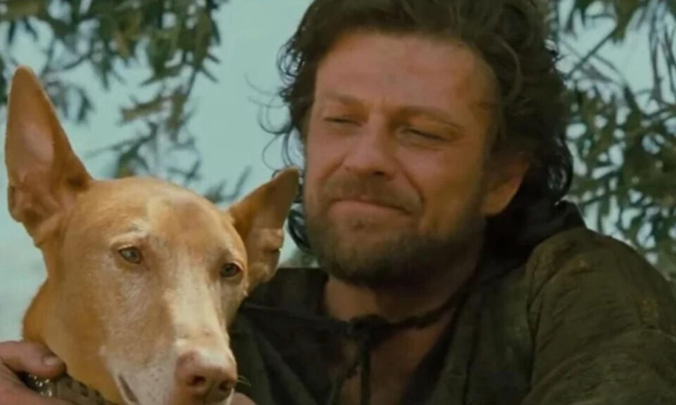 Esta escena de ‘Troya’ solo aparece en su versión extendida, pero si sabes algo de la Grecia clásica te emocionará