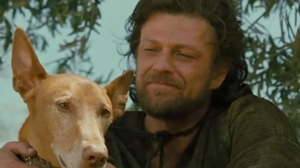 Esta escena de ‘Troya’ solo aparece en su versión extendida, pero si sabes algo de la Grecia clásica te emocionará