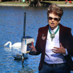 12 cisnes encontrados muertos en el parque Lake Eola de Orlando, se sospecha gripe aviar