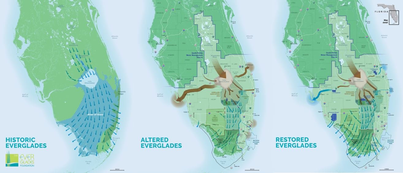 Estos tres mapas representan el flujo histórico de los Everglades, el flujo alterado y el eventual flujo de restauración una vez que se complete el Plan Integral de los Everglades. (Fundación Everglades)