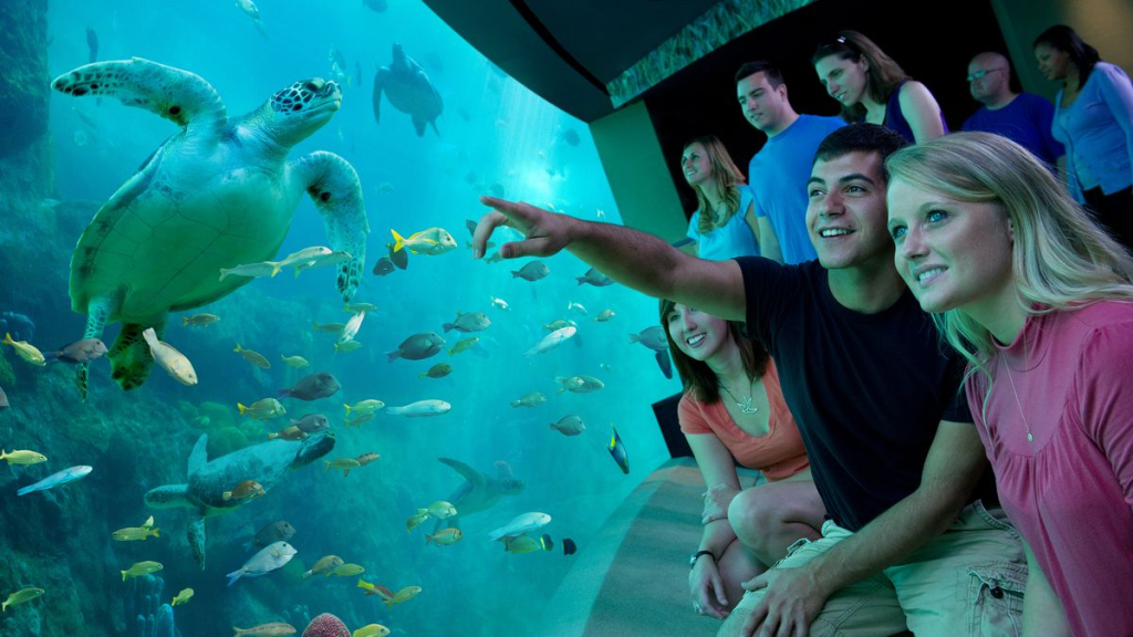 United Parks & Resorts incorpora una nueva herramienta para el trade