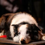 Hoy en TV, una de las películas más fascinantes de los últimos años: un thriller ganador del Oscar que te deja pensando durante varios días