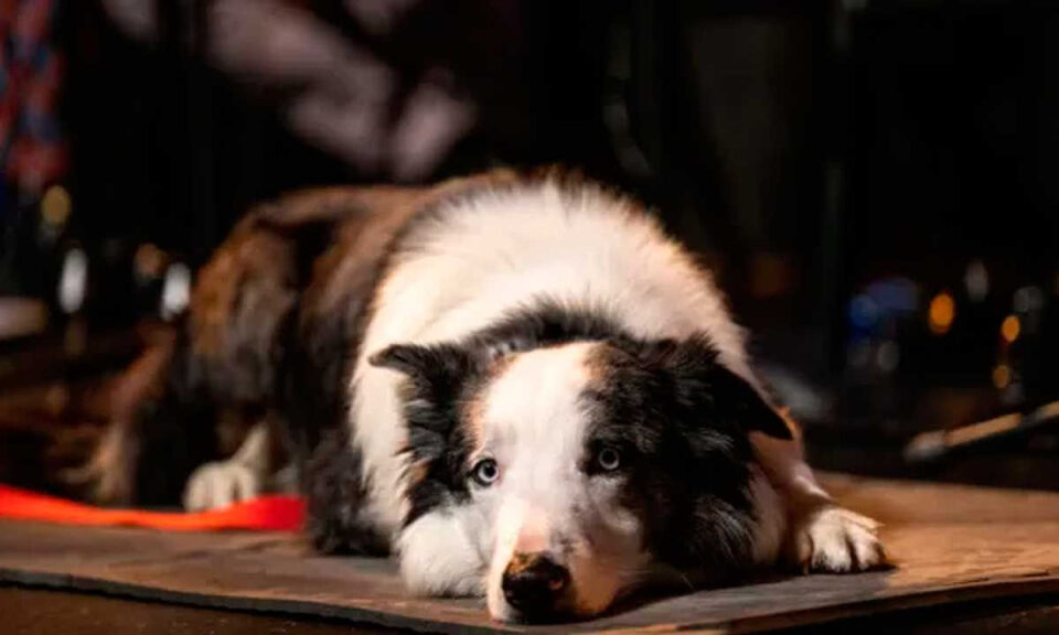 Hoy en TV, una de las películas más fascinantes de los últimos años: un thriller ganador del Oscar que te deja pensando durante varios días