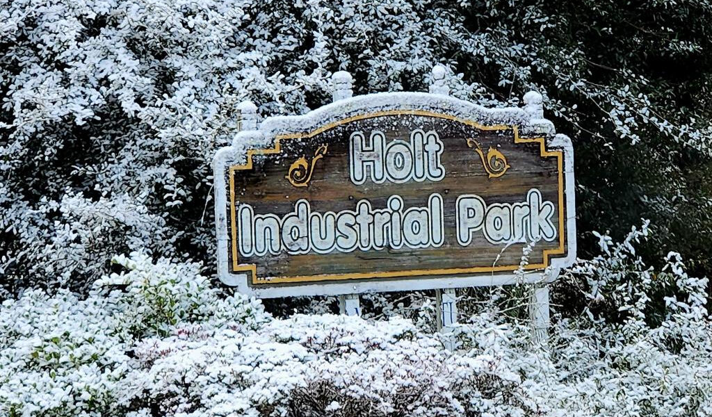 Una pequeña parte del Estado del Sol se convierte en Estado Nevado mientras Florida recibe nieve por segundo año consecutivo