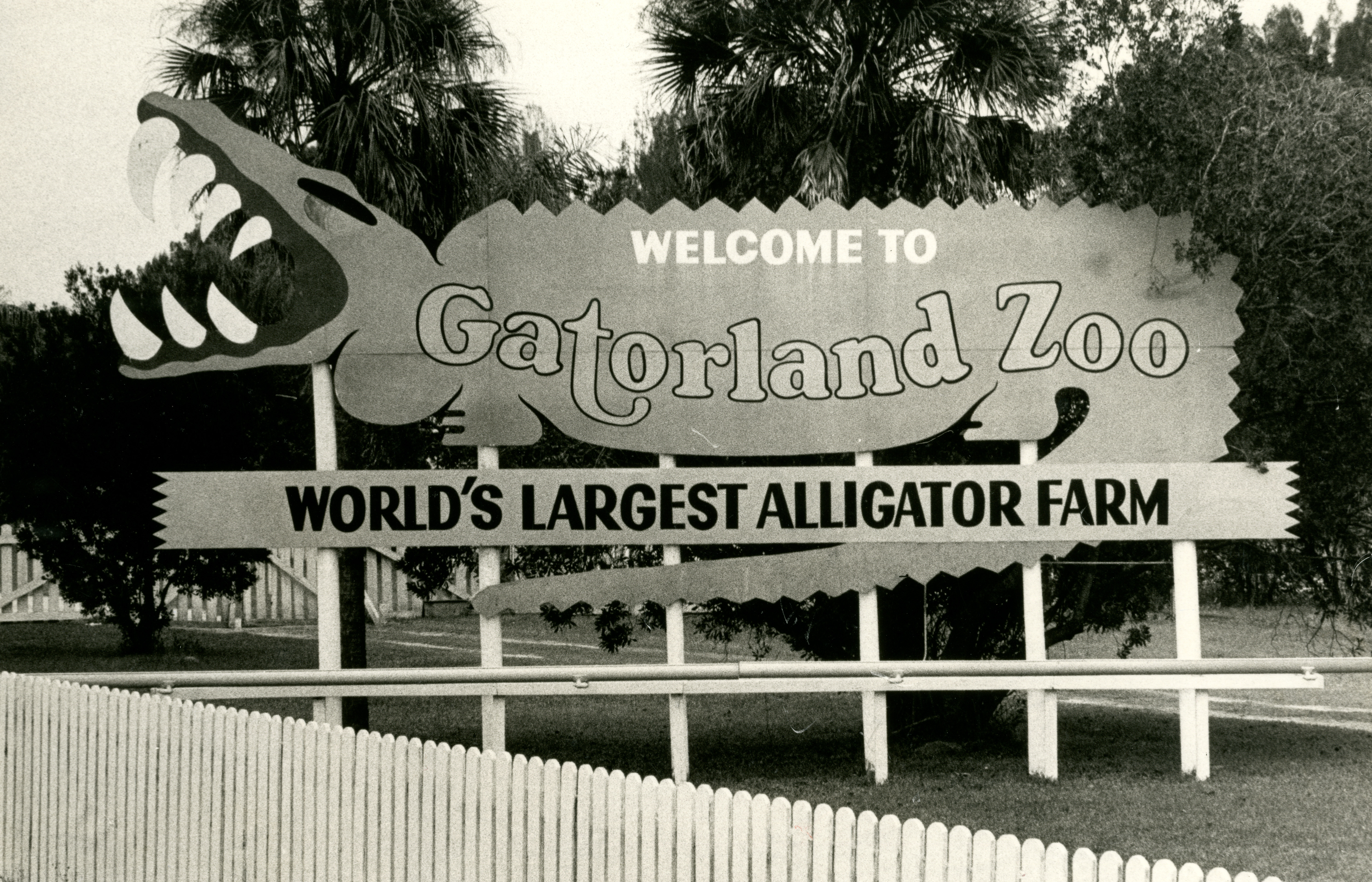 Letrero de Gatorland mostrado en 1979. (Archivo Orlando Sentinel)