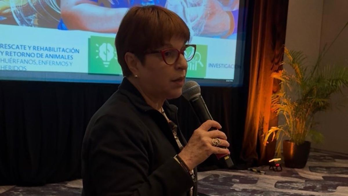 HotelDO Summit: Diana Sosa, United Parks & Resorts.