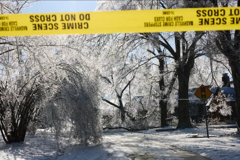 Árboles cubiertos de hielo y cables eléctricos caídos bloquean una carretera en Nashville el 26 de enero.