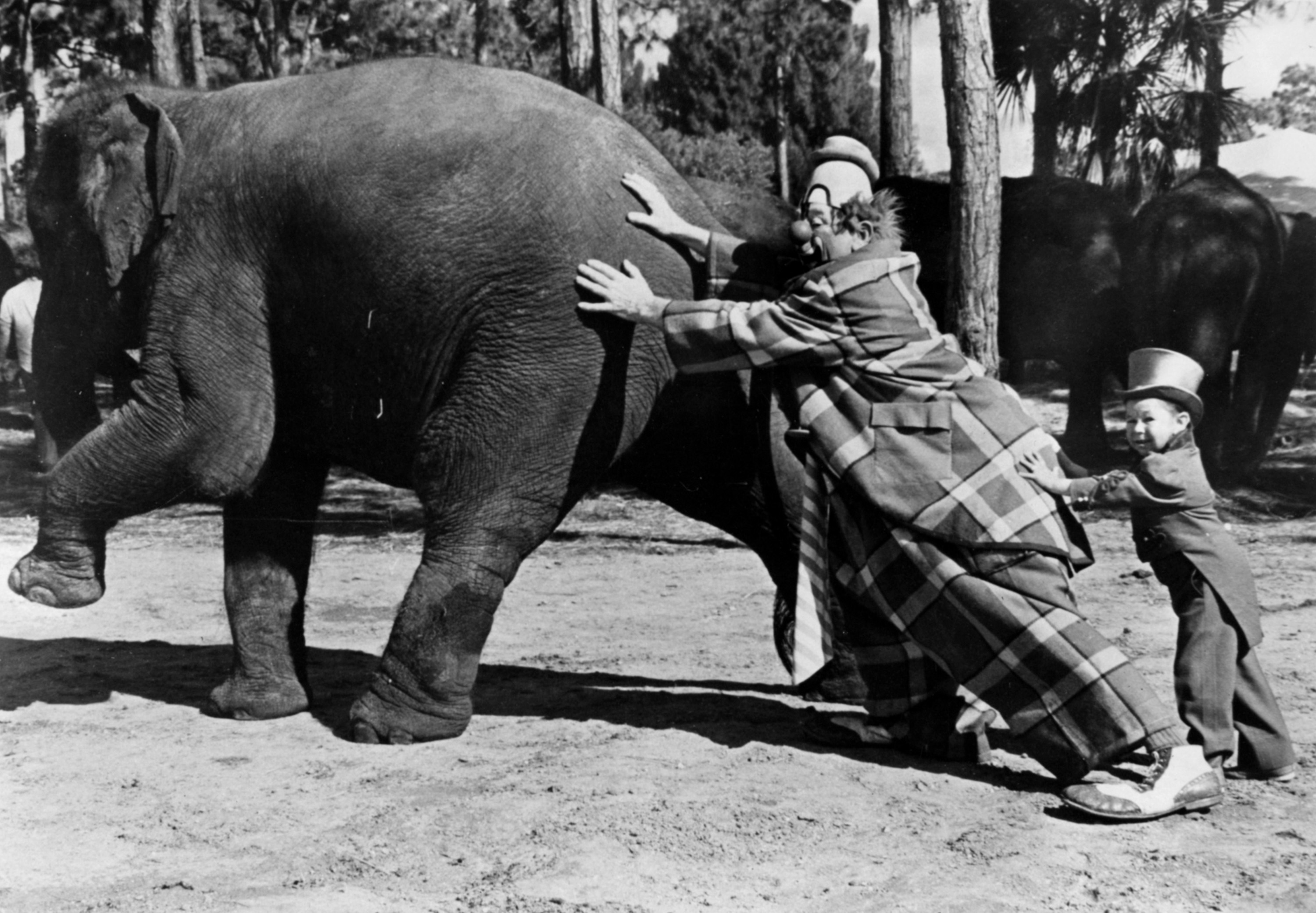 El payaso veterano de cincuenta años Lou Jacobs y Michu, El hombre más pequeño...