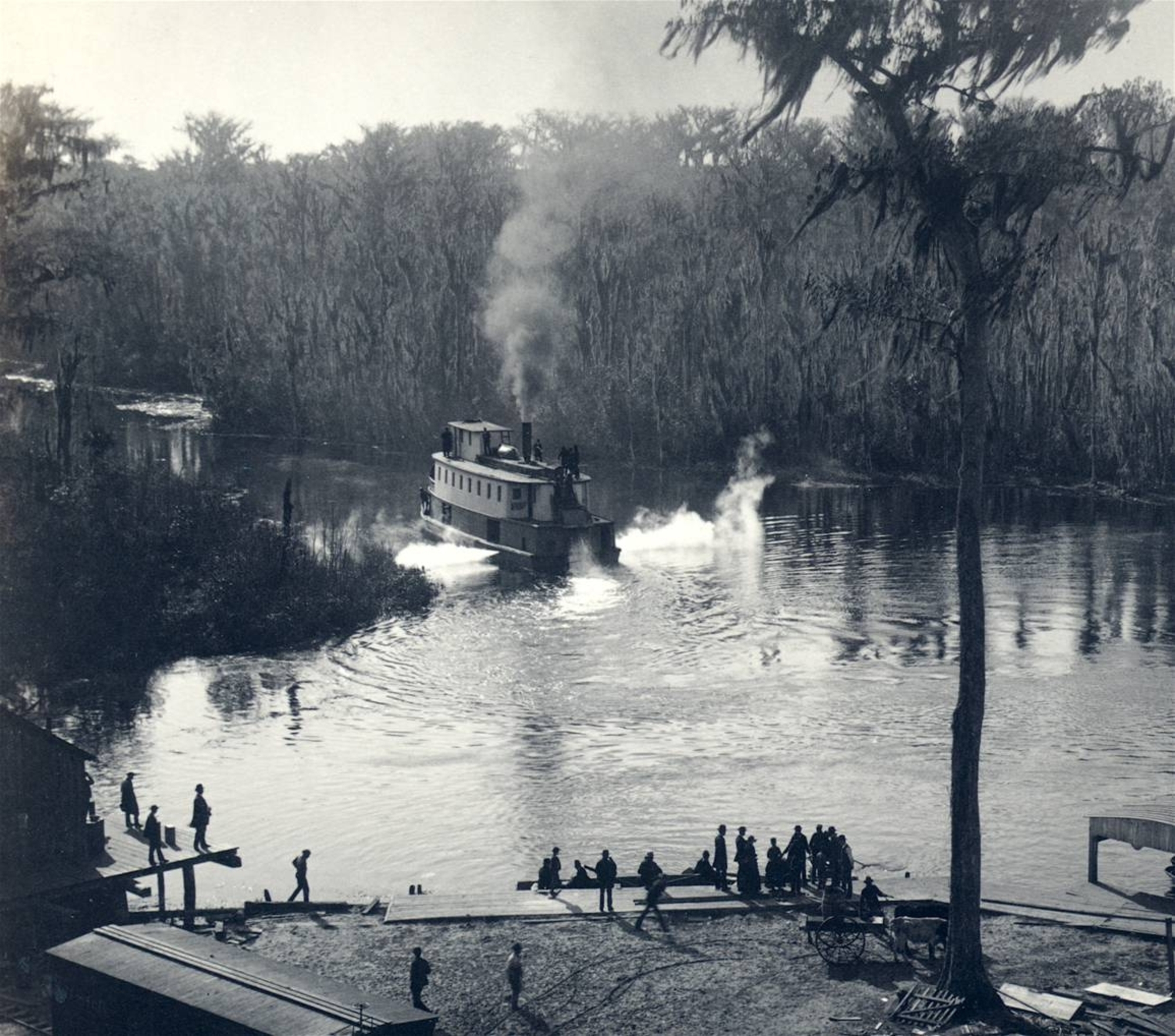 Un barco de vapor se acerca al muelle de Silver Springs en junio de 1886. Los visitantes han viajado durante mucho tiempo en barco, tren y automóvil para ver esta maravilla en el condado de Marion. (Archivo Orlando Sentinel)