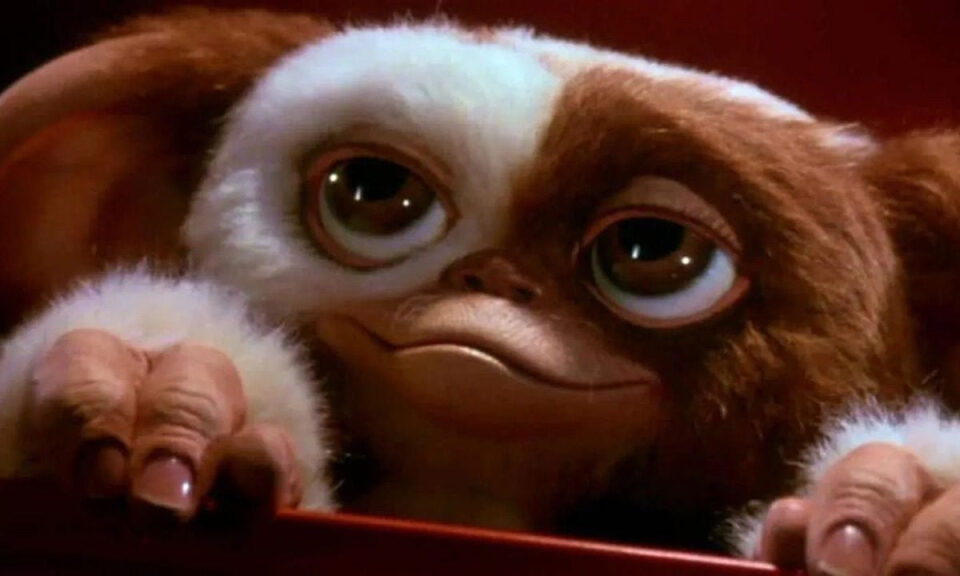 Los pilotos de la Segunda Guerra Mundial tienen la culpa de que existan estas criaturas que hoy todos adoramos