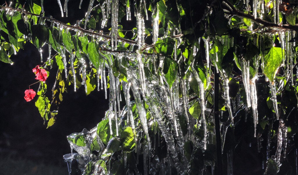 Más récords de clima frío caen en Florida Central