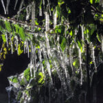 Más récords de clima frío caen en Florida Central