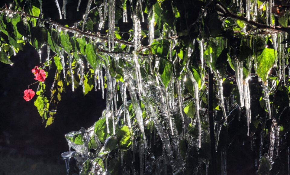Más récords de clima frío caen en Florida Central