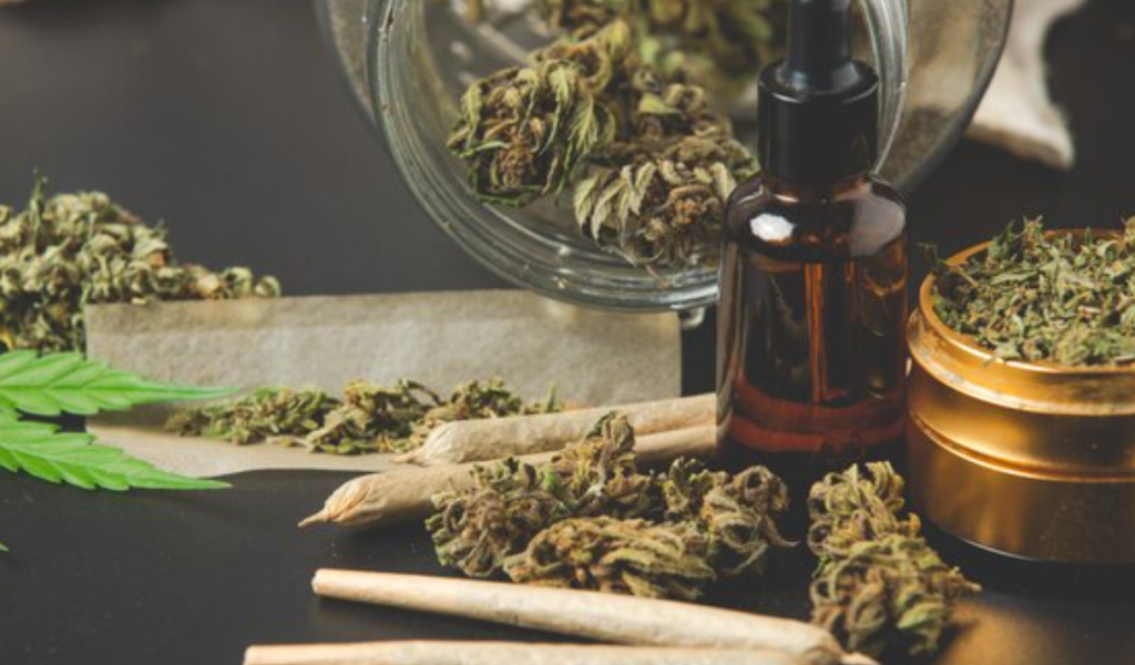 El cannabis recreativo queda fuera de la papeleta electoral en Florida