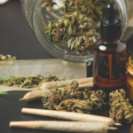 El cannabis recreativo queda fuera de la papeleta electoral en Florida